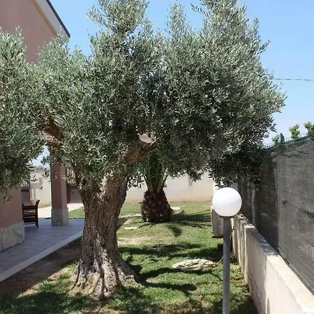 Serena Villa